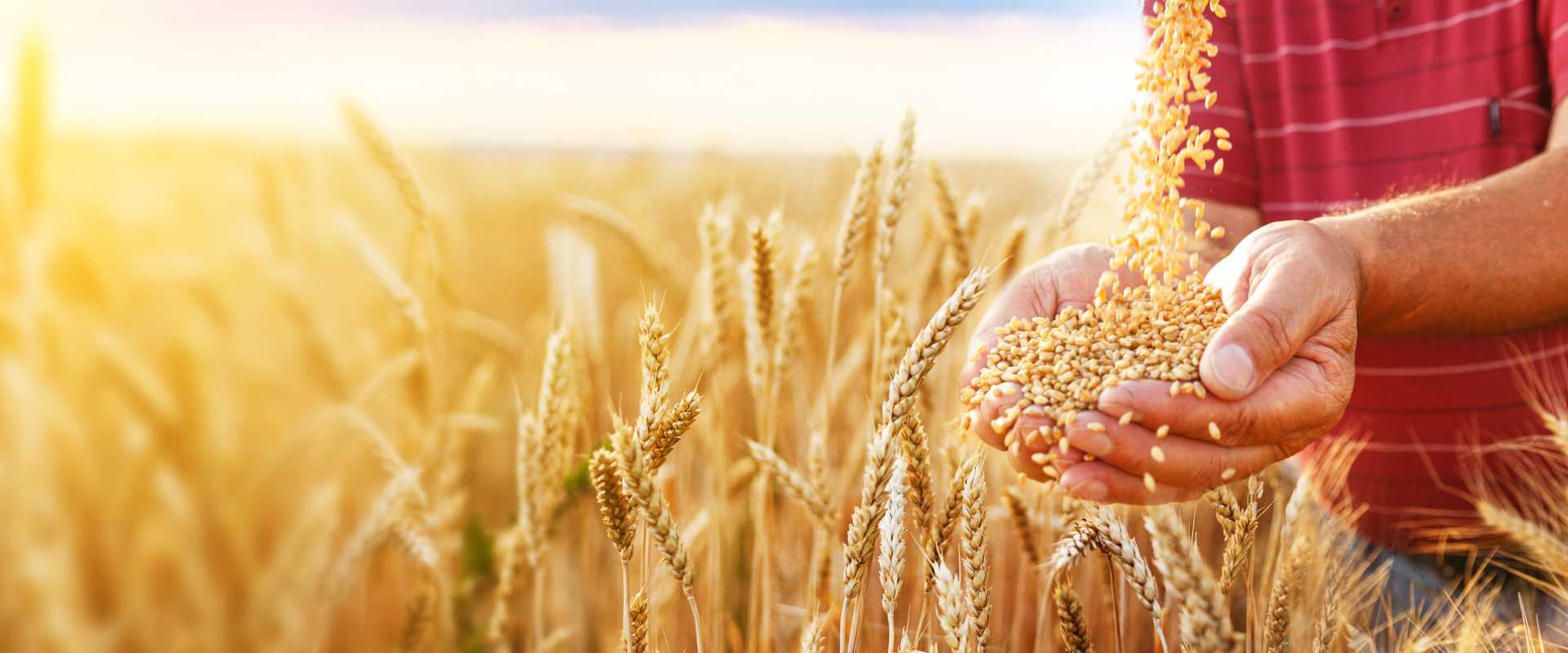 First Fruits Offering